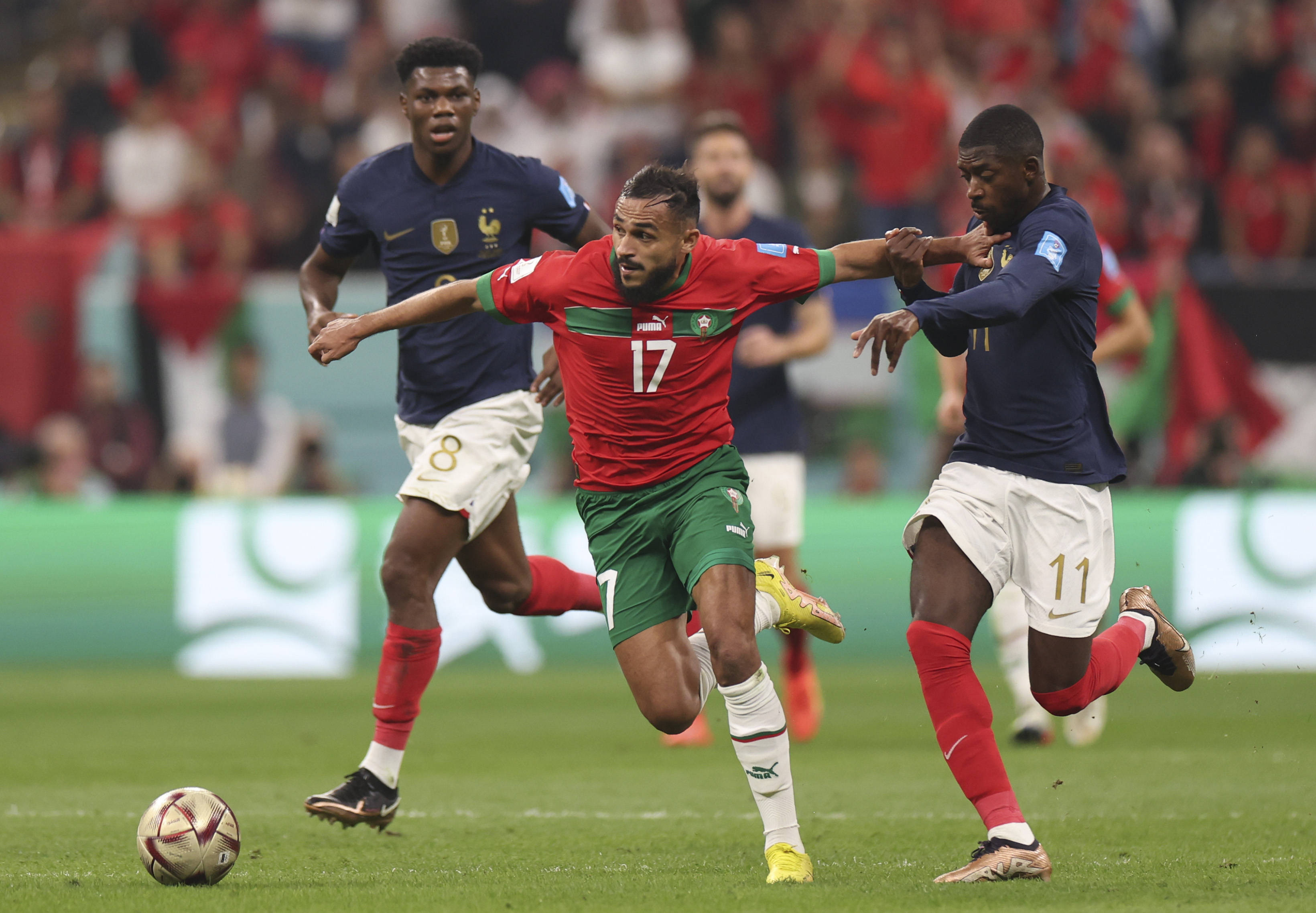 拍照黄金时 拍照黄金时