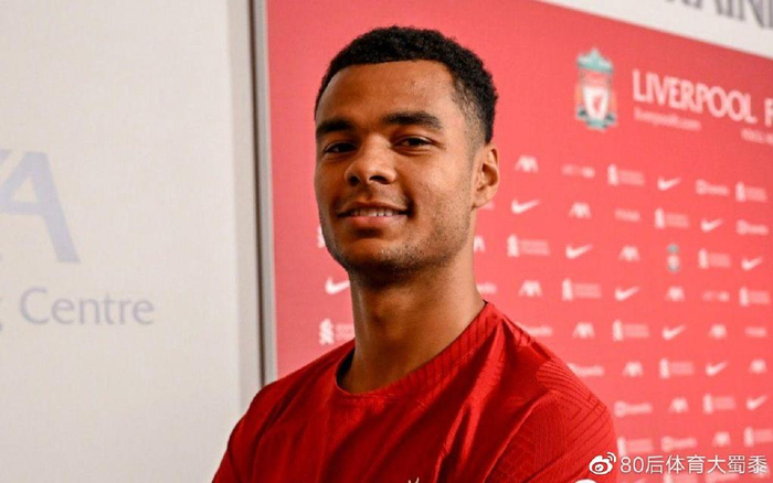 案例分析 案例分析