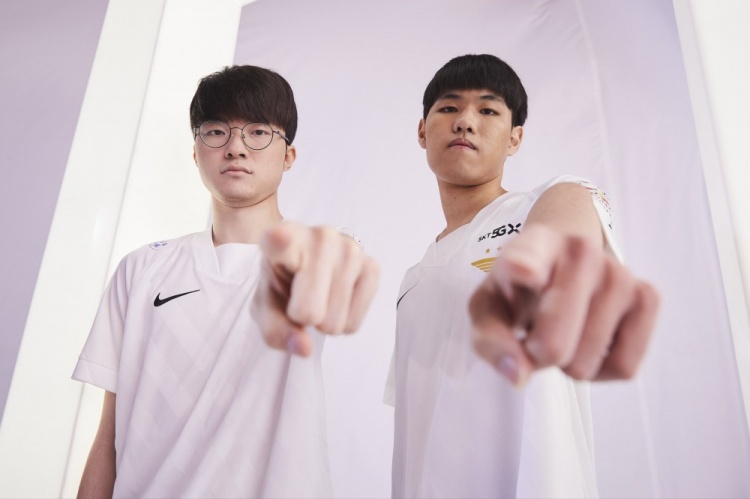 稳定贡献 稳定贡献